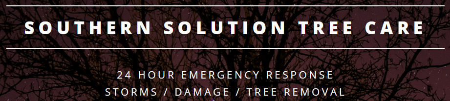 Southern Solutions Tree Care LLC